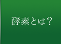 酵素とは？