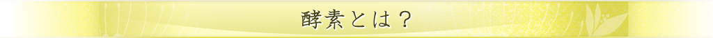 酵素とは？